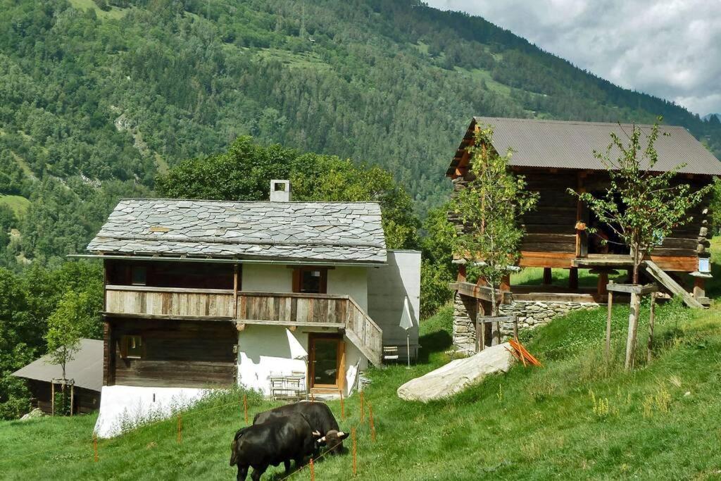 Appartement "Le Ver Luisant" A Saint-Martin, Val D'Herens, Valais Luaran gambar